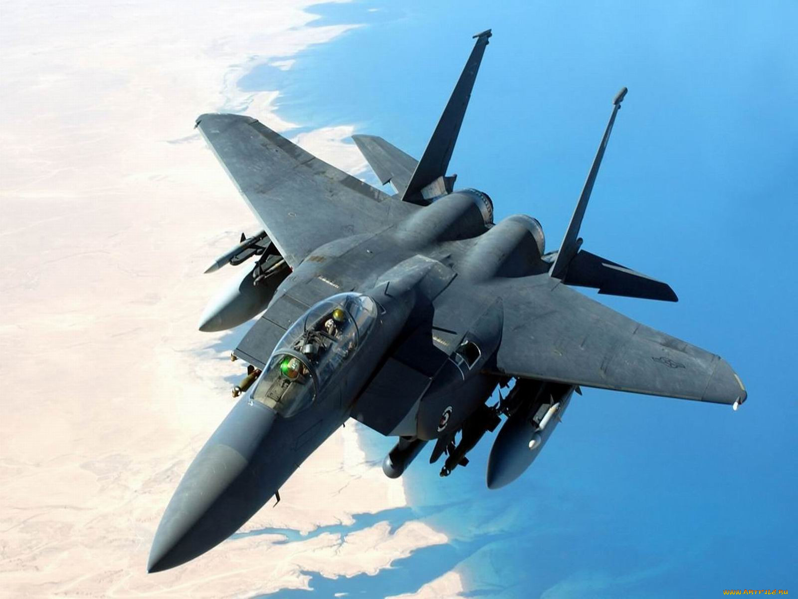 15, eagle, , , 